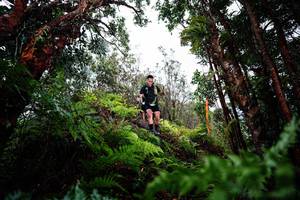 BIB: 
                            <button type="button" onclick="openModal(26204266)" class="btn btn-primary btn-sm float-right btn-popup" data-toggle="modal" data-target=".modal-high-quality">
                        <i class="fas fa-shopping-cart"></i> Add to Cart
                    </button>
                                            <button type="button" onclick="isThisMe(26204266, true)" class="btn btn-success btn-sm float-right btn-popup btn-isme hidden" data-toggle="tooltip" data-placement="bottom" title="นี่คือรูปของคุณใช่ไหม คลิกที่นี่เพื่อเอาเข้าอัลบั้ม">
                        <i class="fas fa-plus"></i> Add to album
                    </button>
                    <button type="button" onclick="isThisMe(26204266, false)" class="btn btn-warning btn-sm float-right btn-popup btn-isnotme hidden">
                        <i class="fas fa-ban"></i> Remove from album
                    </button>